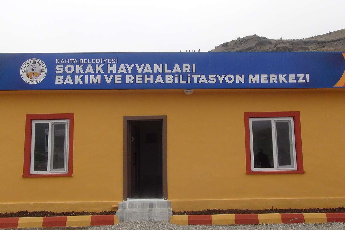 Salgın döneminde sokak hayvanlarını sahiplenme arttı